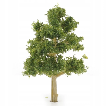 Drzewo 0166 - 65